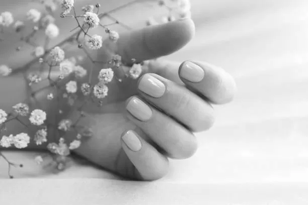 E-commerce Platinetteshop: la cura della tua bellezza